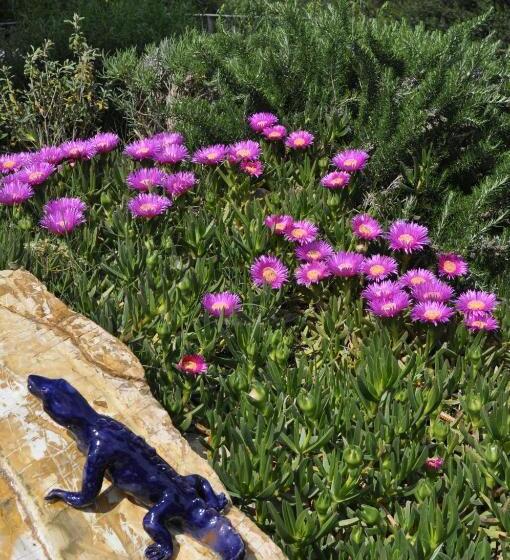 آپارتمان 3 خوابه, Tenuta Poggetti E Santa Laura