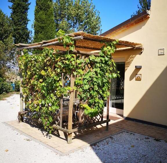 غرفة قياسية, Tenuta San Marcello