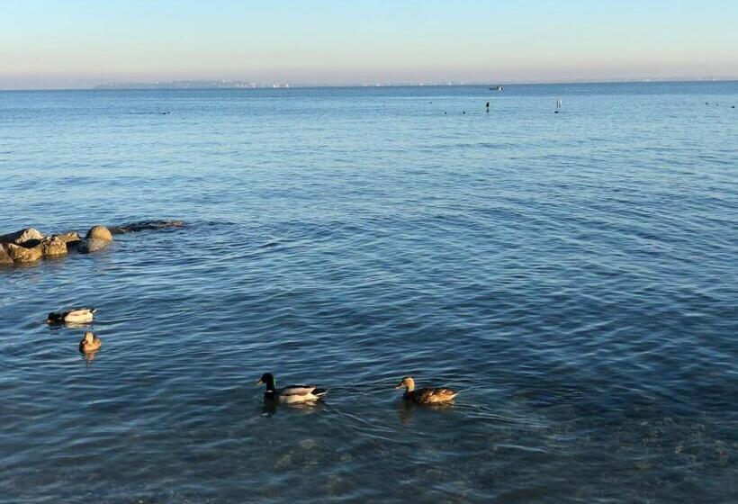 Апартаменты Deluxe 1 Спальня, La Giolosa Gardapartments