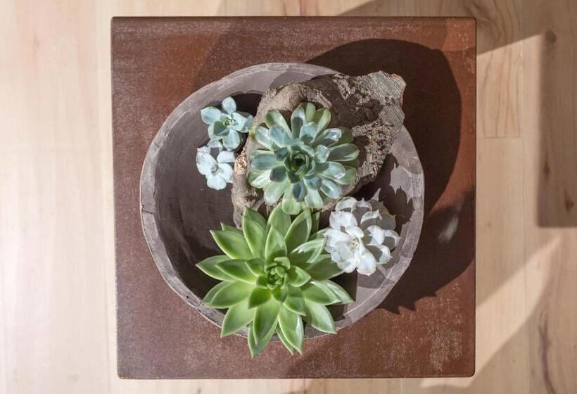 Suite Deluxe, Tulipa Natural Home