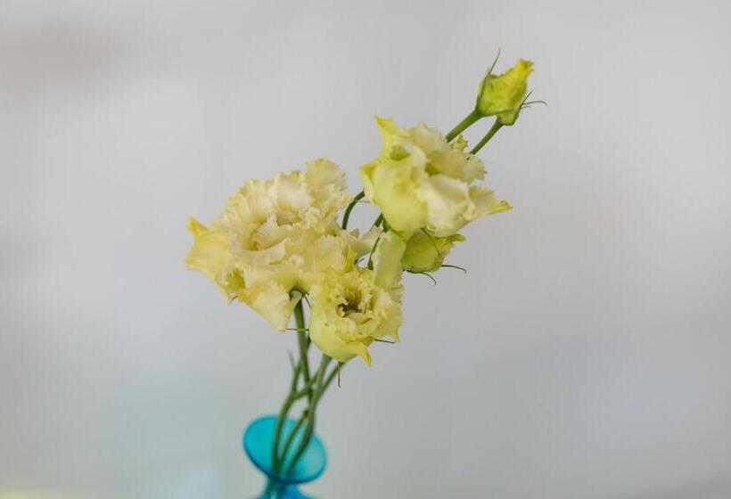 Suite, Tulipa Natural Home