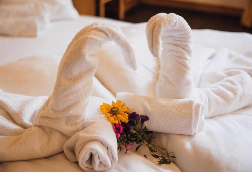 Студия Стандарт, Aparthotel Maso Corto