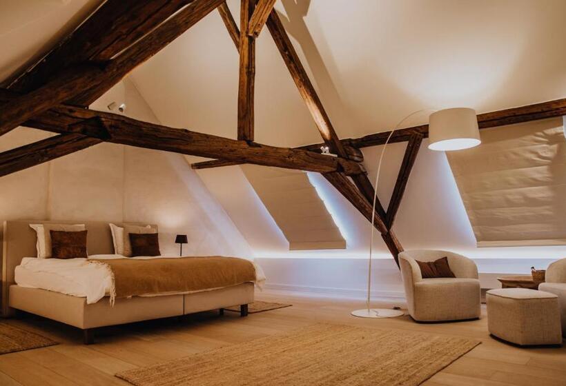 חדר דחוקס עם מיטת קינג, B&b Anna9