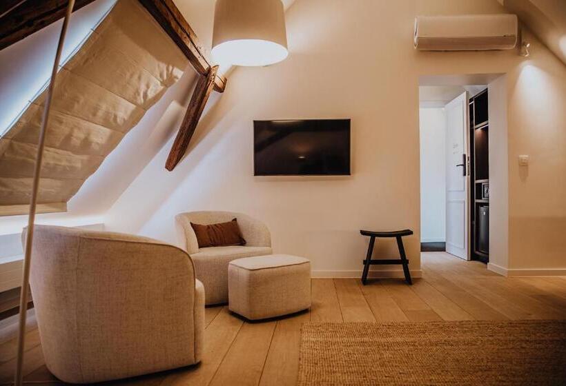 חדר דחוקס עם מיטת קינג, B&b Anna9