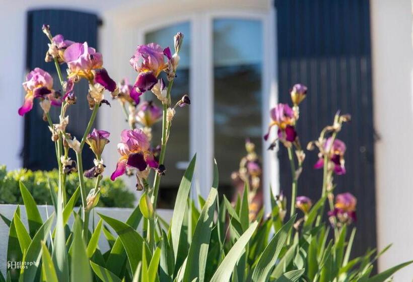 غرفة ديلوكس, Croissant De Lune