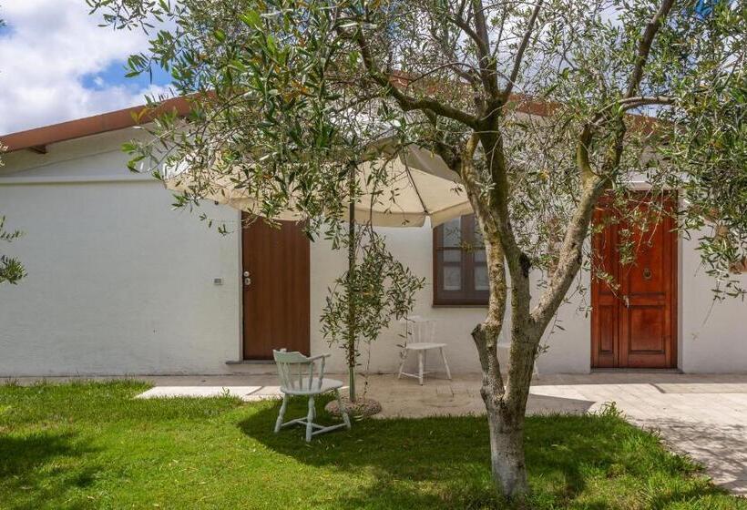 デラックスルーム, Da Renzo