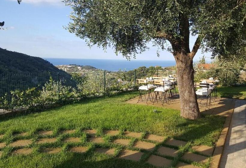 سوییت با چشم‌انداز دریا, Aurivu