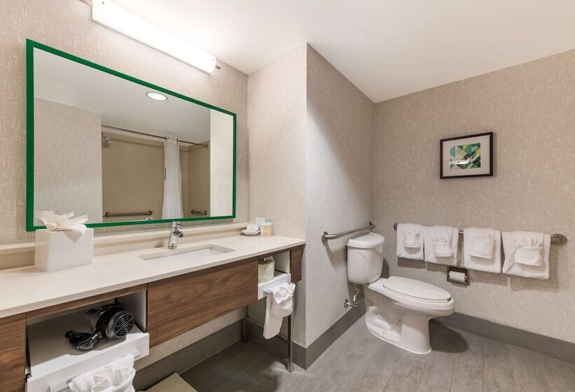 Номер Стандарт, Hampton Inn & Suites Charlotteairport