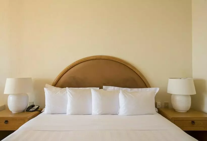 استودیوی استاندارد, Club Regina Los Cabos