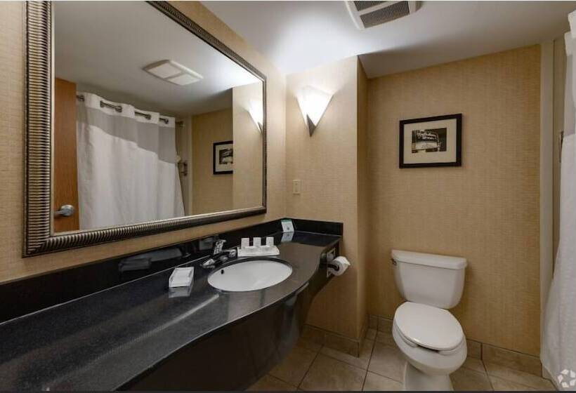 غرفة قياسية لذوى الاحتياجات الخاصة, Holiday Inn Battle Creek, An Ihg