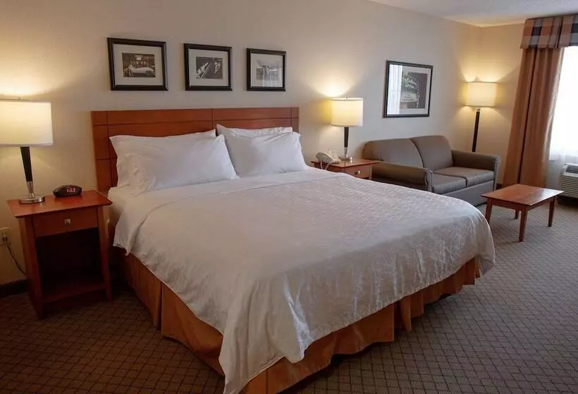 身障者適用スタンダードルーム, Holiday Inn Battle Creek, An Ihg