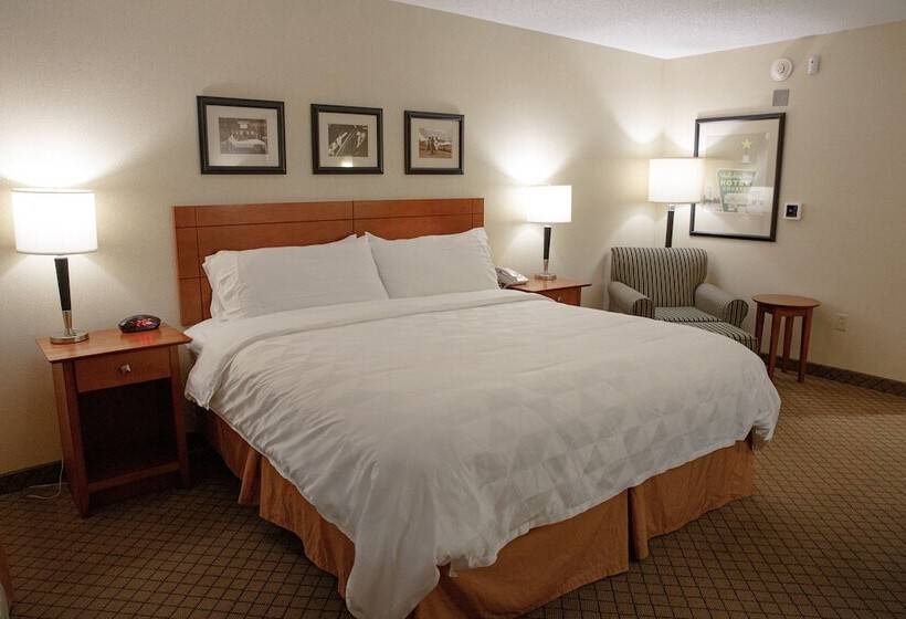 Номер Стандарт Адаптированный для Инвалидов, Holiday Inn Battle Creek, An Ihg