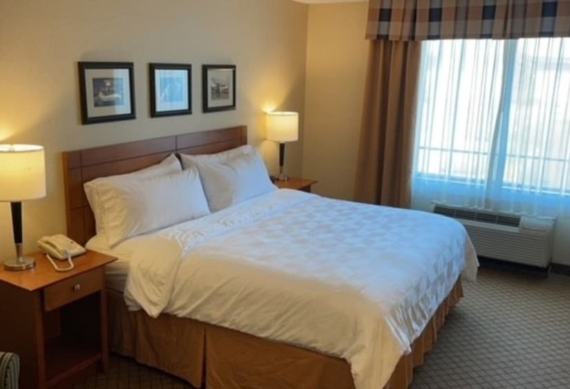 غرفة قياسية لذوى الاحتياجات الخاصة, Holiday Inn Battle Creek, An Ihg