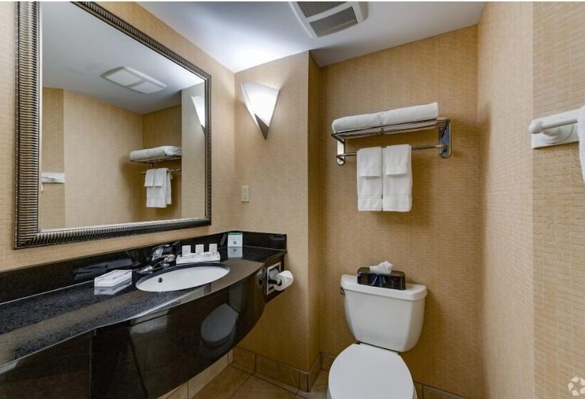 غرفة قياسية لذوى الاحتياجات الخاصة, Holiday Inn Battle Creek, An Ihg