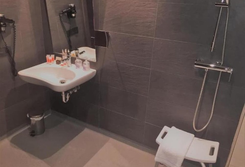 غرفة قياسية لذوى الاحتياجات الخاصة, La Piconera And Spa