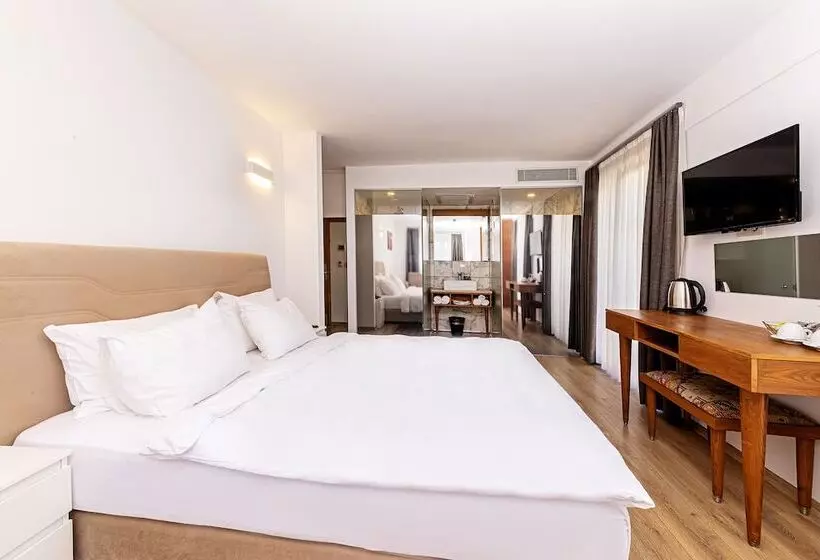 اتاق استاندارد سه نفره, Neda Hotel Istanbul