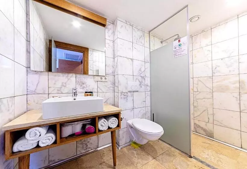 اتاق سوپریور, Neda Hotel Istanbul