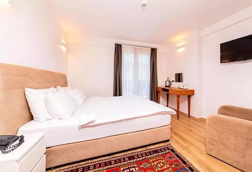 اتاق سوپریور, Neda Hotel Istanbul