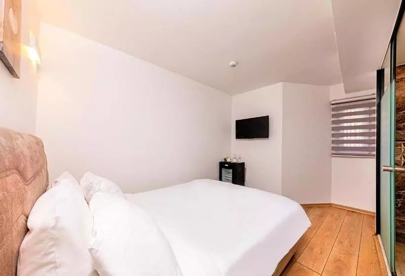 اتاق اکونومی, Neda Hotel Istanbul