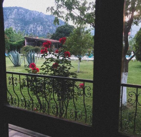 اتاق استاندارد, Palme Dalyan