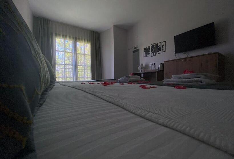 اتاق استاندارد, Palme Dalyan