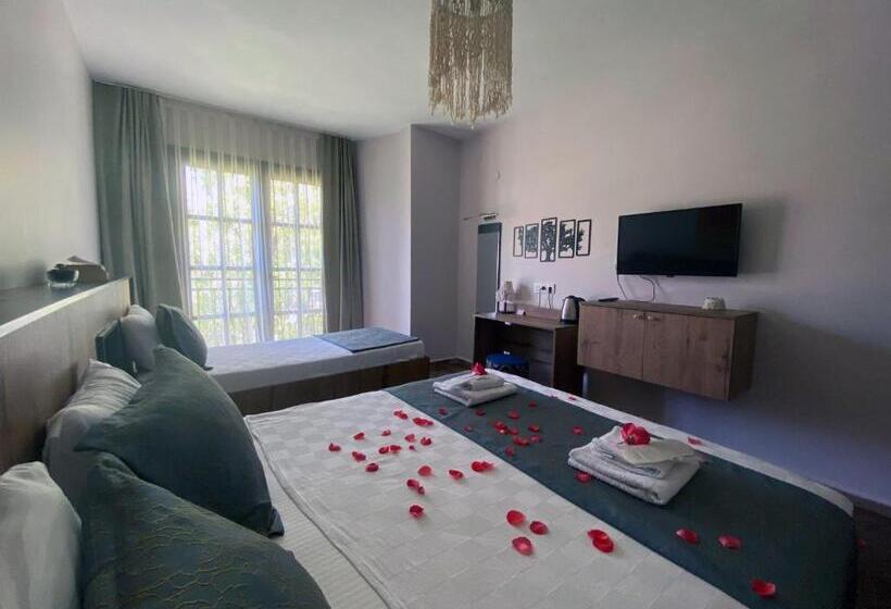 اتاق استاندارد, Palme Dalyan