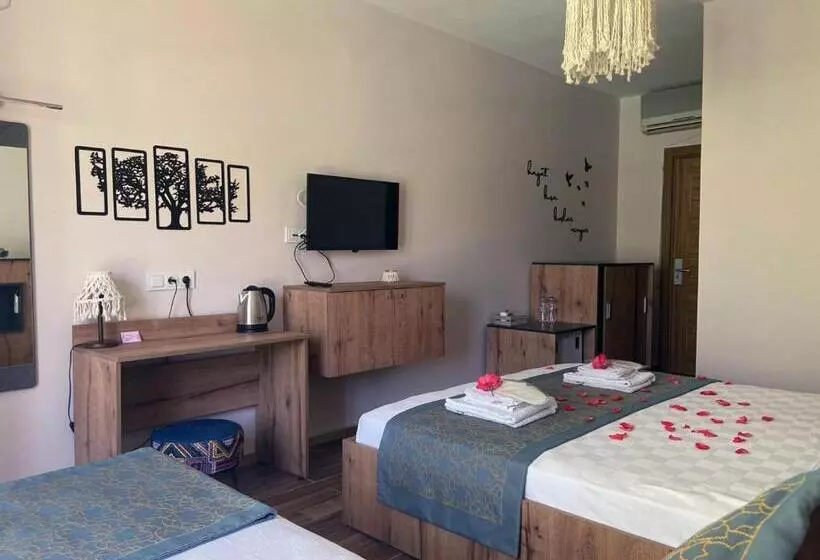 اتاق استاندارد, Palme Dalyan
