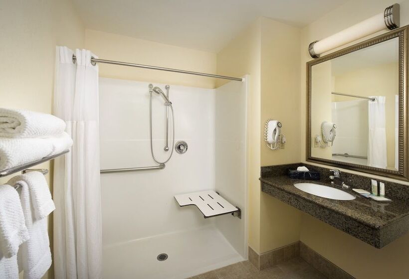 جناح لذوى الاحتياجات الخاصة, Residence Inn By Marriott Bwi Airport