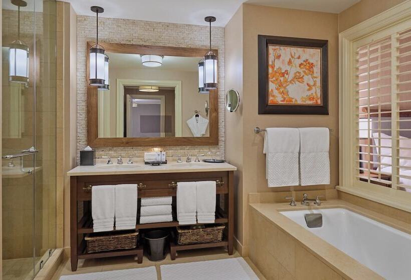 جناح ذو إطلالة, St. Regis Deer Valley