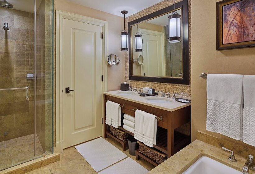 غرفة ديلوكس لذوى الاحتياجات الخاصة, St. Regis Deer Valley