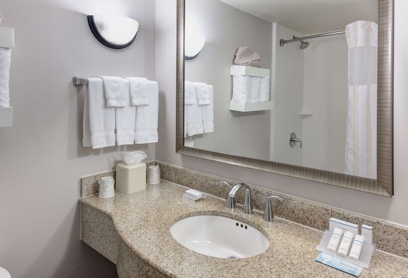 带2个双人床的标准工作室, Hilton Garden Inn Mcallen Airport