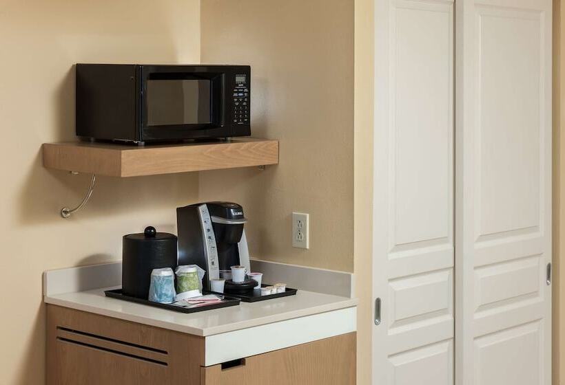 带2个双人床的标准工作室, Hilton Garden Inn Mcallen Airport