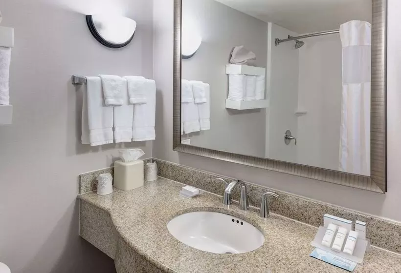 سوئیت ریاست جمهوری 2 خوابه, Hilton Garden Inn Mcallen Airport