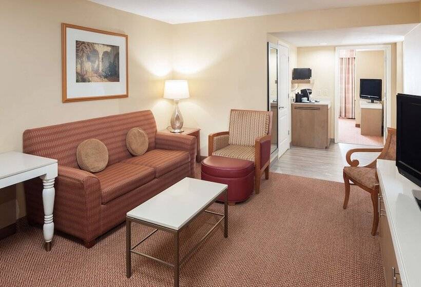 جناح رئاسى غرفتين نوم, Hilton Garden Inn Mcallen Airport