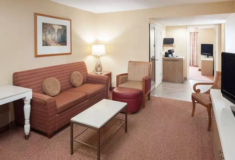 سوئیت ریاست جمهوری 2 خوابه, Hilton Garden Inn Mcallen Airport