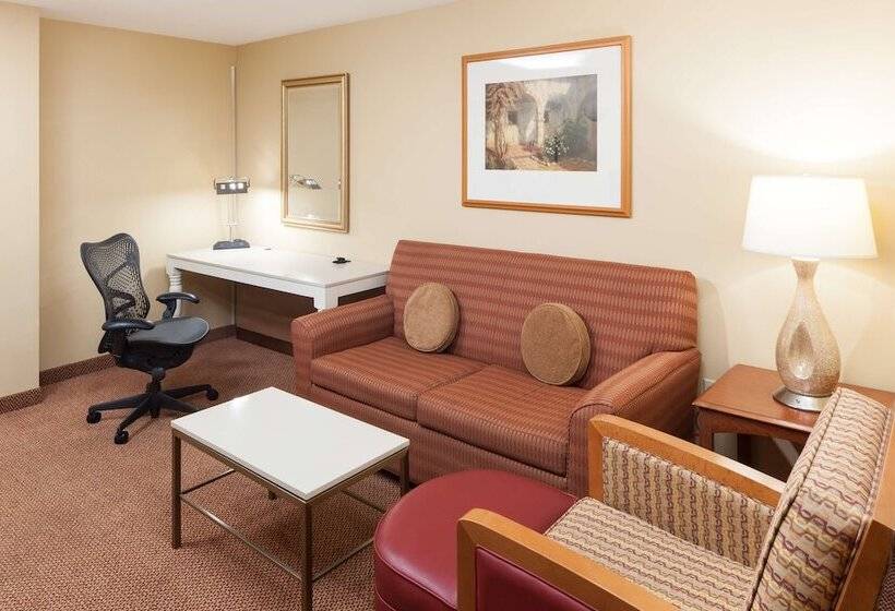 סוויטה נשיאותית 2 חדרים, Hilton Garden Inn Mcallen Airport