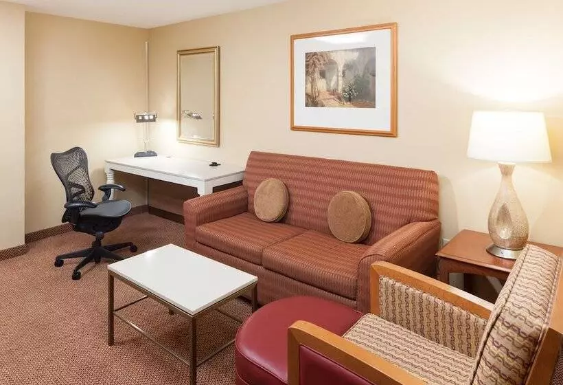 سوئیت ریاست جمهوری 2 خوابه, Hilton Garden Inn Mcallen Airport