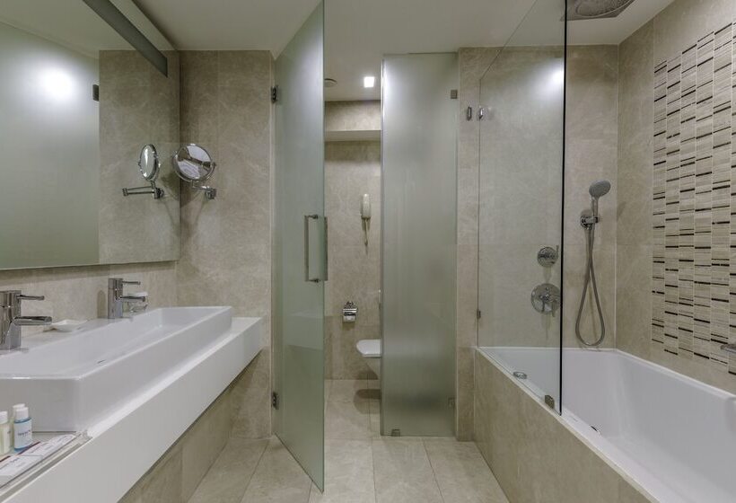 اتاق اجرایی, Levni Hotel & Spa Special Category