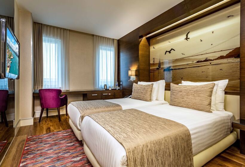 スタンダードルーム, Levni Hotel & Spa Special Category