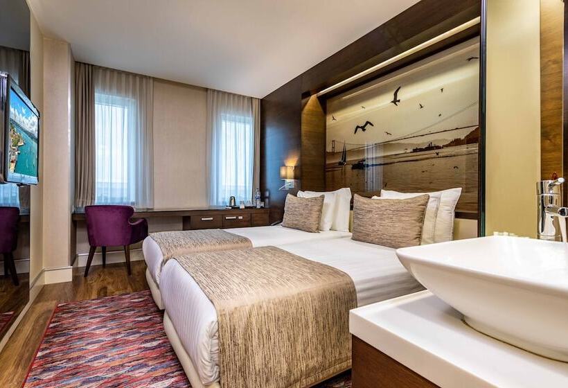 اتاق استاندارد, Levni Hotel & Spa Special Category