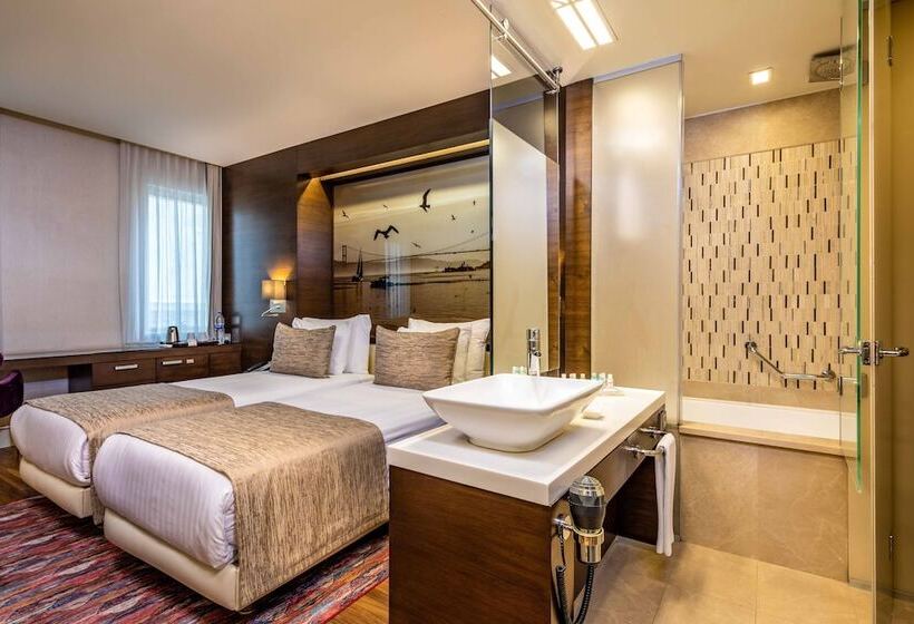 スタンダードルーム, Levni Hotel & Spa Special Category