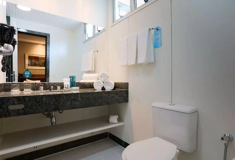 اتاق سوپریور, San Diego Suites Ipatinga