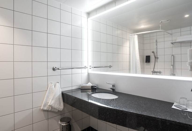 غرفة قياسية لذوى الاحتياجات الخاصة, Thon Hotel Alta