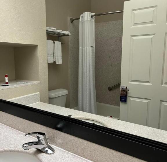 适合残疾人士使用的带超级大床的标准间, Baymont By Wyndham Houston Brookhollow