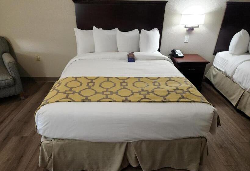 标准间, Baymont By Wyndham Houston Brookhollow