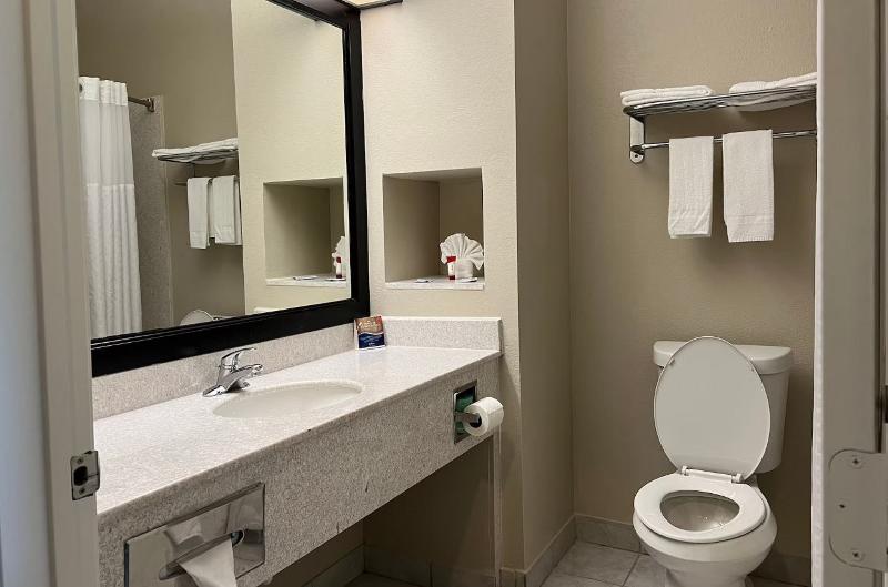 带大床的套房, Baymont By Wyndham Houston Brookhollow