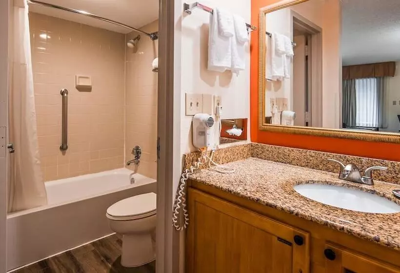 اتاق استاندارد با 2 تخت دوبل, Best Western Dulles Airport Inn
