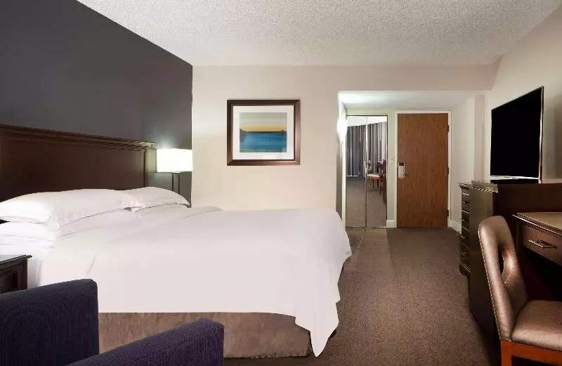Suite King Bed