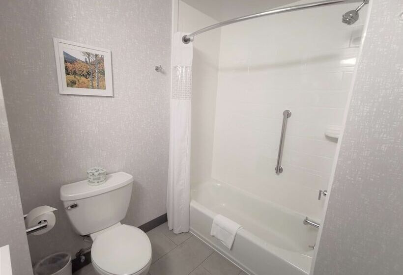 غرفة قياسية, Hampton Inn & Suites Colorado Springs/air Force Academy