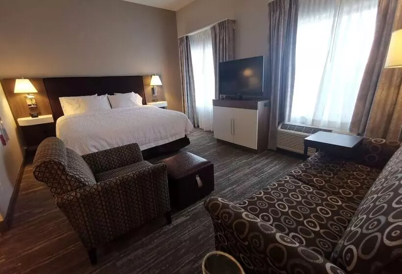 スタンダードスタジオ, Hampton Inn & Suites Colorado Springs/air Force Academy